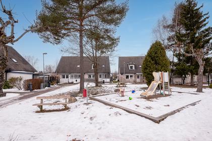 Bild av närområdet