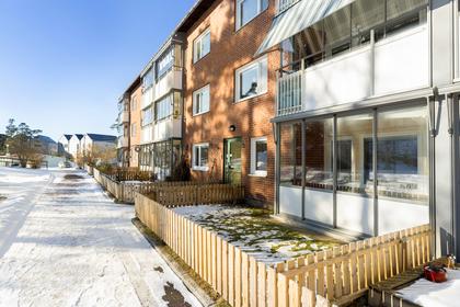 Bild av närområdet