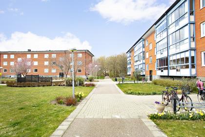 Kung Karls väg 7D, Sydkusten