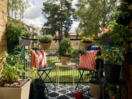 Bild av närområdet