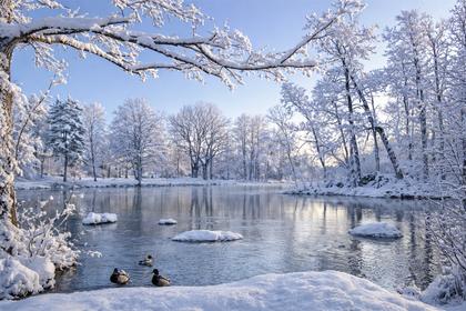 Bild av närområdet