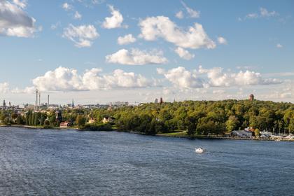 Bild av närområdet