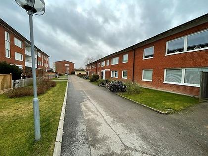 Bild av närområdet