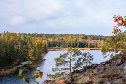 Bild av närområdet