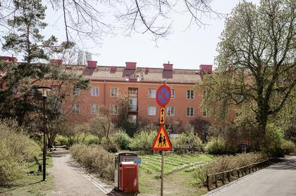 Bild av närområdet