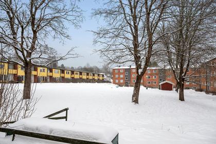 Bild av närområdet