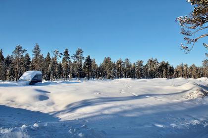 Bild av närområdet