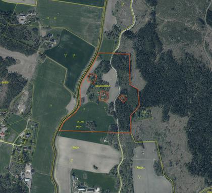 Illustrerad karta över fastigheten eller området