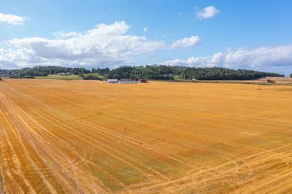 Bild av närområdet