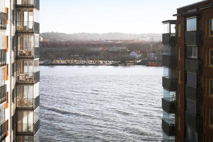 Bild av närområdet