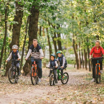 Bild av närområdet