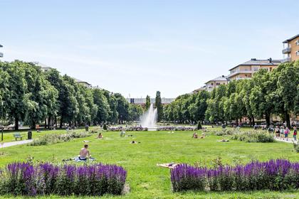 Bild av närområdet