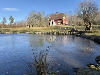 Bild av närområdet