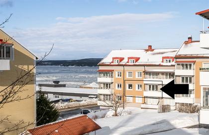 Bild av närområdet