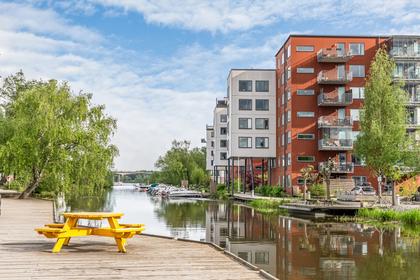 Bild av närområdet