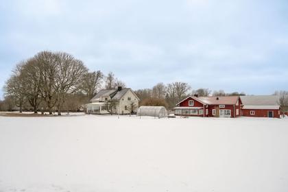 Bild av närområdet