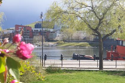 Bild av närområdet