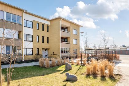 Bild av närområdet