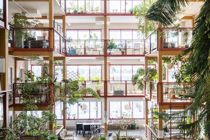 Bild av närområdet