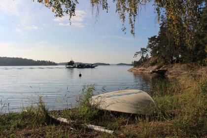 Bild av närområdet