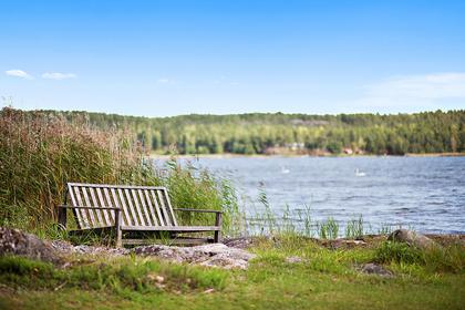 Bild av närområdet