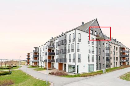 Bild av närområdet