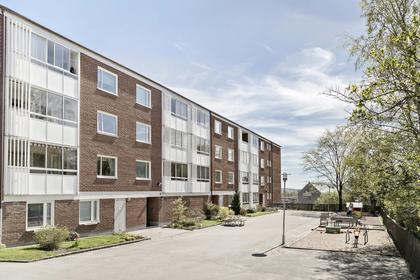 Bild av närområdet