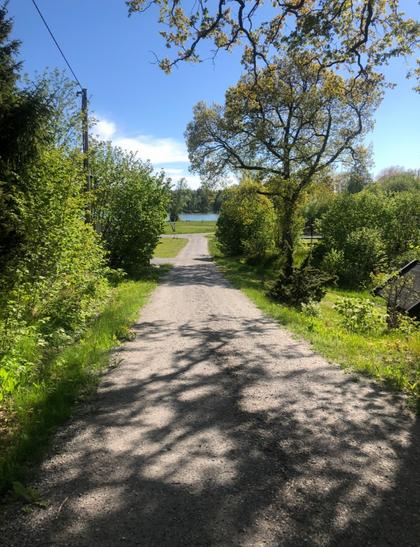 Bild av närområdet