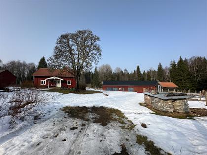 Bild av närområdet