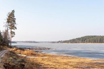 Bild av närområdet