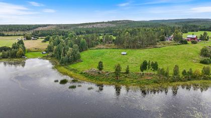 Bild av närområdet