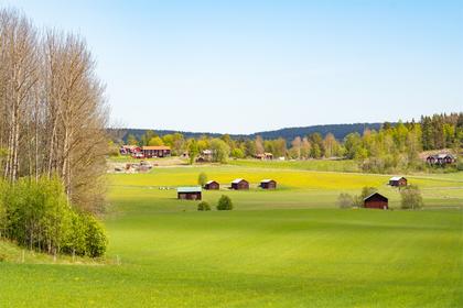 Bild av närområdet