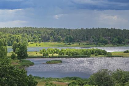 Bild av närområdet