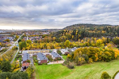 Bild av närområdet