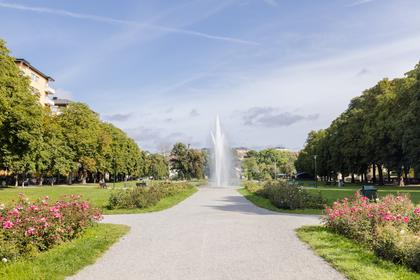 Bild av närområdet