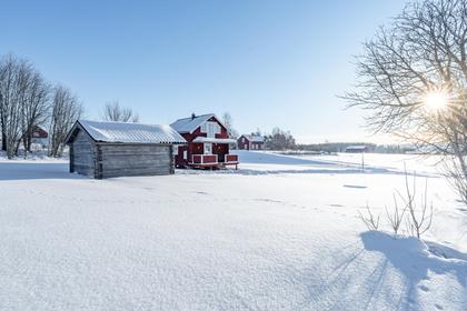 Bild av närområdet