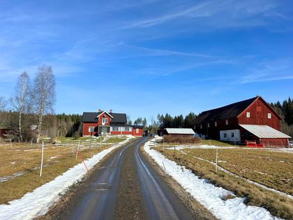 Bild av närområdet