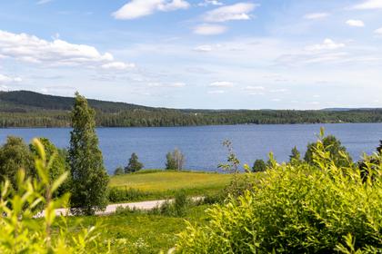 Bild av närområdet