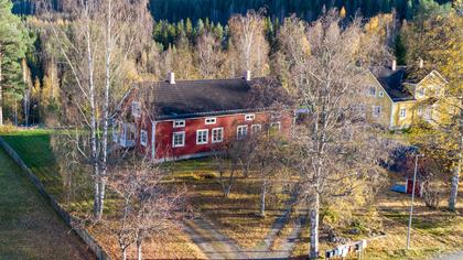 Bild av närområdet