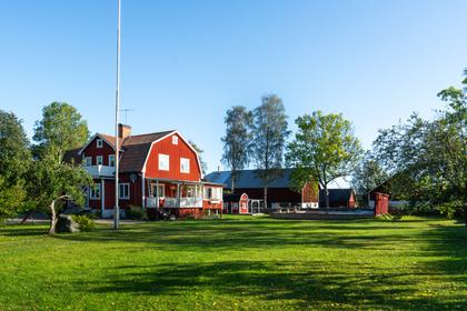 Bild av närområdet