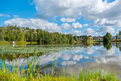 Bild av närområdet