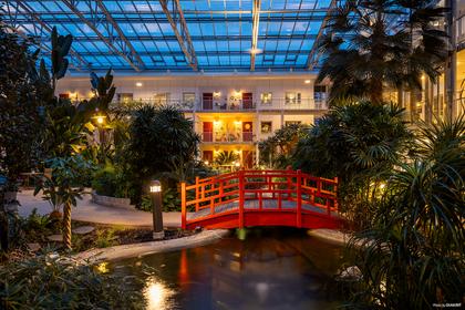 Bild av närområdet