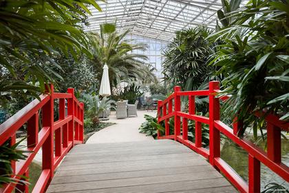 Bild av närområdet