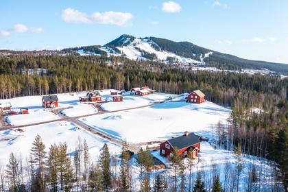 Bild av närområdet