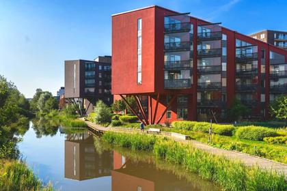 Bild av närområdet