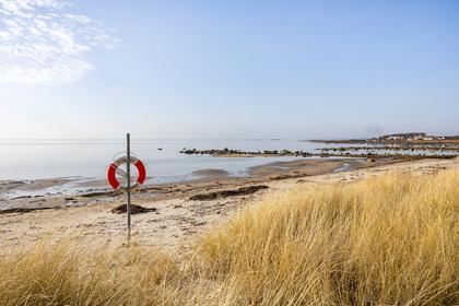 Bild av närområdet