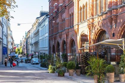 Bild av närområdet