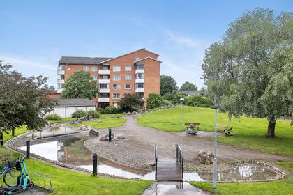 Bild av närområdet