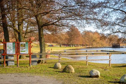 Bild av närområdet