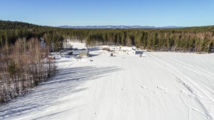 Bild av närområdet